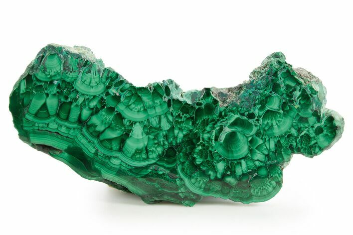 Flowery Polished Malachite Slab - D R Congo #379711